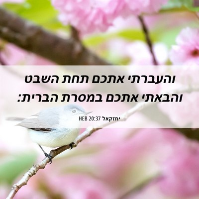 Picture 06 - יחזקאל 20:37 HEB - והעברתי אתכם תחת השבט - Bible Verse Picture