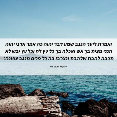 Picture 06 - יחזקאל 20:47 HEB - ואמרת ליער הנגב שמע דבר - Bible Verse Picture