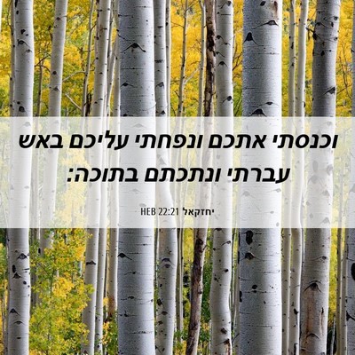Picture 06 - יחזקאל 22:21 HEB - וכנסתי אתכם ונפחתי עליכם - Bible Verse Picture