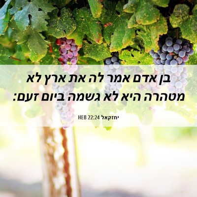Picture 06 - יחזקאל 22:24 HEB - בן אדם אמר לה את ארץ לא - Bible Verse Picture