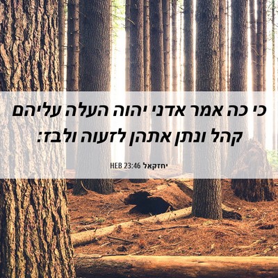Picture 06 - יחזקאל 23:46 HEB - כי כה אמר אדני יהוה העלה - Bible Verse Picture