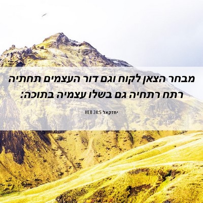 Picture 06 - יחזקאל 24:5 HEB - מבחר הצאן לקוח וגם דור - Bible Verse Picture