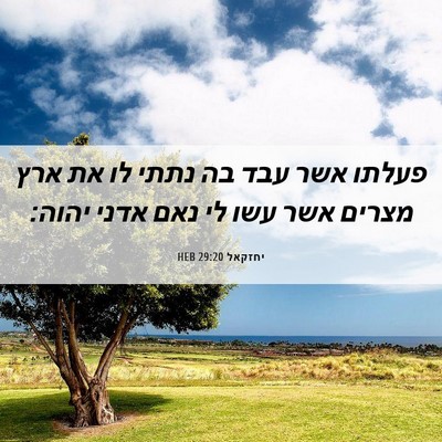 Picture 06 - יחזקאל 29:20 HEB - פעלתו אשר עבד בה נתתי לו את - Bible Verse Picture