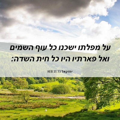 Picture 06 - יחזקאל 31:13 HEB - על מפלתו ישכנו כל עוף השמים - Bible Verse Picture