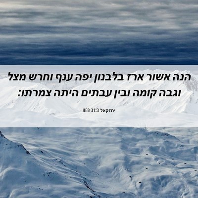 Picture 06 - יחזקאל 31:3 HEB - הנה אשור ארז בלבנון יפה ענף - Bible Verse Picture