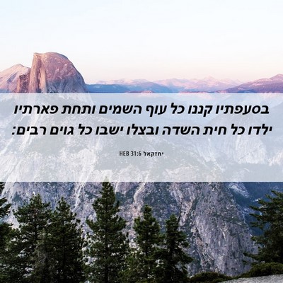 Picture 06 - יחזקאל 31:6 HEB - בסעפתיו קננו כל עוף השמים - Bible Verse Picture