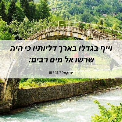 Picture 06 - יחזקאל 31:7 HEB - וייף בגדלו בארך דליותיו כי - Bible Verse Picture
