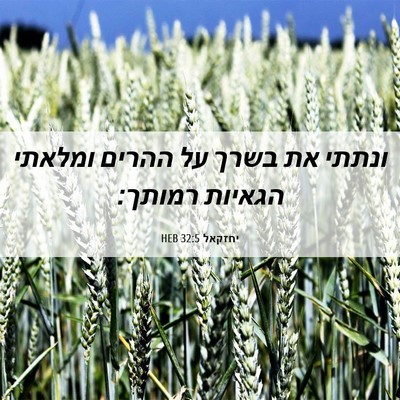 Picture 06 - יחזקאל 32:5 HEB - ונתתי את בשרך על ההרים - Bible Verse Picture