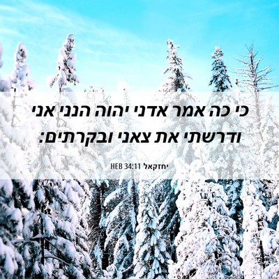 Picture 06 - יחזקאל 34:11 HEB - כי כה אמר אדני יהוה הנני - Bible Verse Picture