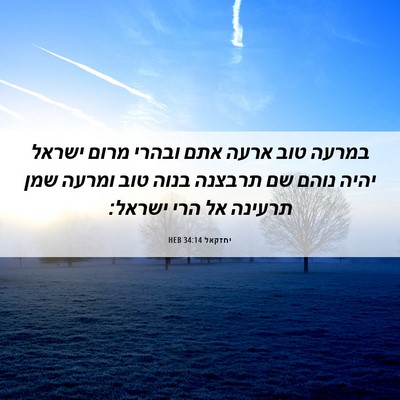 Picture 06 - יחזקאל 34:14 HEB - במרעה טוב ארעה אתם ובהרי - Bible Verse Picture