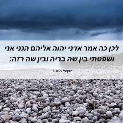 Picture 06 - יחזקאל 34:20 HEB - לכן כה אמר אדני יהוה אליהם - Bible Verse Picture