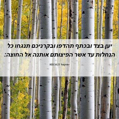 Picture 06 - יחזקאל 34:21 HEB - יען בצד ובכתף תהדפו - Bible Verse Picture