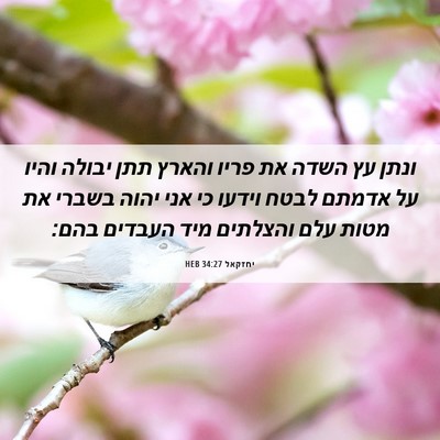 Picture 06 - יחזקאל 34:27 HEB - ונתן עץ השדה את פריו והארץ - Bible Verse Picture