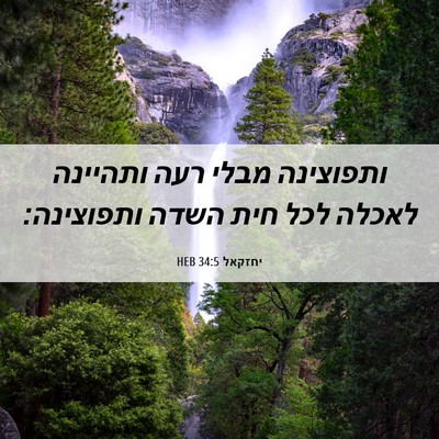 Picture 06 - יחזקאל 34:5 HEB - ותפוצינה מבלי רעה ותהיינה - Bible Verse Picture