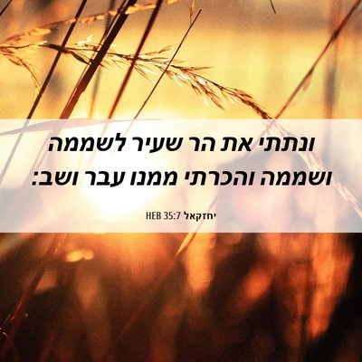 Picture 06 - יחזקאל 35:7 HEB - ונתתי את הר שעיר לשממה - Bible Verse Picture