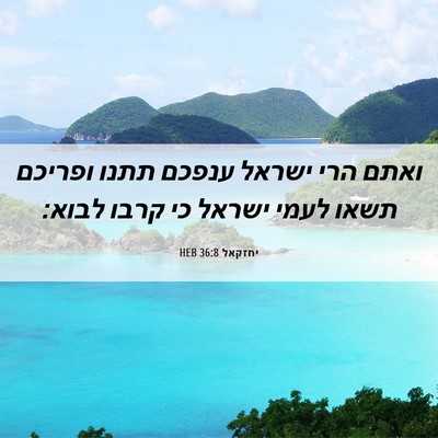 Picture 06 - יחזקאל 36:8 HEB - ואתם הרי ישראל ענפכם תתנו - Bible Verse Picture