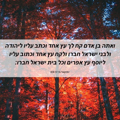 Picture 06 - יחזקאל 37:16 HEB - ואתה בן אדם קח לך עץ אחד - Bible Verse Picture
