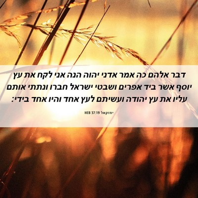 Picture 06 - יחזקאל 37:19 HEB - דבר אלהם כה אמר אדני יהוה - Bible Verse Picture