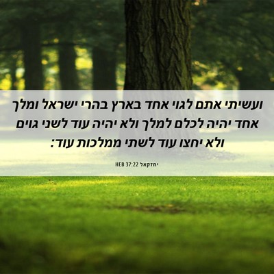 Picture 06 - יחזקאל 37:22 HEB - ועשיתי אתם לגוי אחד בארץ - Bible Verse Picture