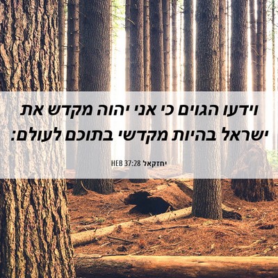 Picture 06 - יחזקאל 37:28 HEB - וידעו הגוים כי אני יהוה - Bible Verse Picture