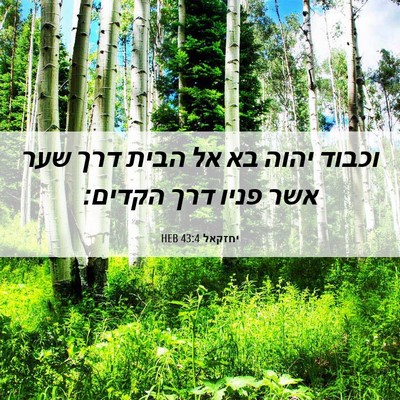 Picture 06 - יחזקאל 43:4 HEB - וכבוד יהוה בא אל הבית דרך - Bible Verse Picture