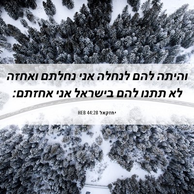 Picture 06 - יחזקאל 44:28 HEB - והיתה להם לנחלה אני נחלתם - Bible Verse Picture