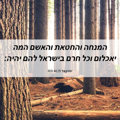 Picture 06 - יחזקאל 44:29 HEB - המנחה והחטאת והאשם המה - Bible Verse Picture