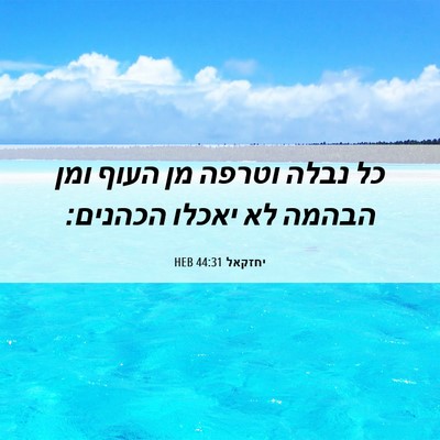 Picture 06 - יחזקאל 44:31 HEB - כל נבלה וטרפה מן העוף ומן - Bible Verse Picture