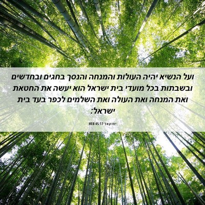Picture 06 - יחזקאל 45:17 HEB - ועל הנשיא יהיה העולות - Bible Verse Picture