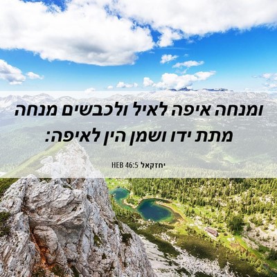 Picture 06 - יחזקאל 46:5 HEB - ומנחה איפה לאיל ולכבשים - Bible Verse Picture