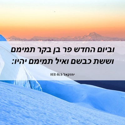 Picture 06 - יחזקאל 46:6 HEB - וביום החדש פר בן בקר תמימם - Bible Verse Picture