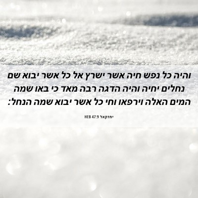 Picture 06 - יחזקאל 47:9 HEB - והיה כל נפש חיה אשר ישרץ אל - Bible Verse Picture