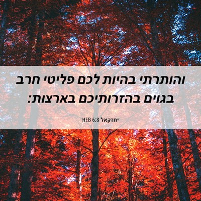 Picture 06 - יחזקאל 6:8 HEB - והותרתי בהיות לכם פליטי - Bible Verse Picture