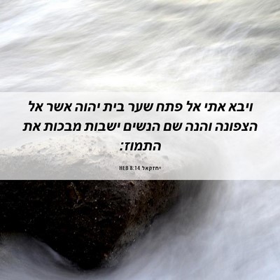 Picture 06 - יחזקאל 8:14 HEB - ויבא אתי אל פתח שער בית - Bible Verse Picture