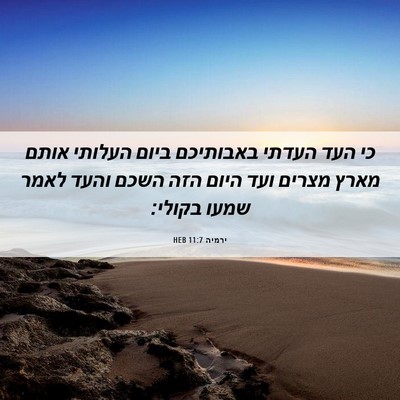 Picture 06 - ירמיה 11:7 HEB - כי העד העדתי באבותיכם ביום - Bible Verse Picture