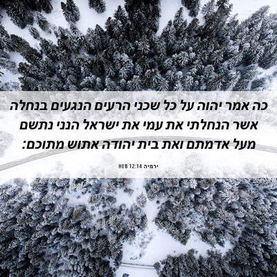 Picture 06 - ירמיה 12:14 HEB - כה אמר יהוה על כל שכני - Bible Verse Picture