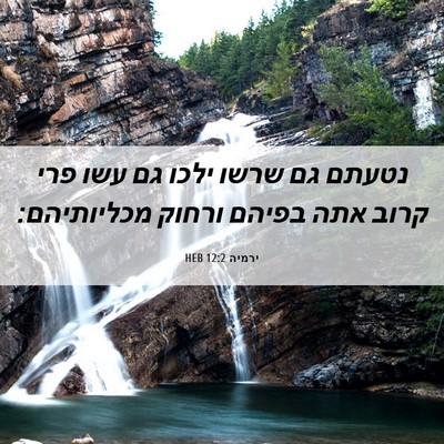 Picture 06 - ירמיה 12:2 HEB - נטעתם גם שרשו ילכו גם עשו - Bible Verse Picture