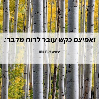 Picture 06 - ירמיה 13:24 HEB - ואפיצם כקש עובר לרוח - Bible Verse Picture