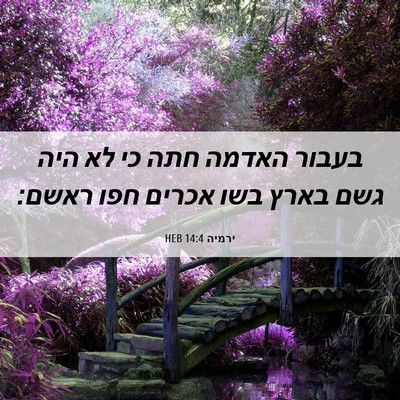 Picture 06 - ירמיה 14:4 HEB - בעבור האדמה חתה כי לא היה - Bible Verse Picture