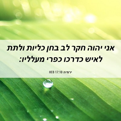 Picture 06 - ירמיה 17:10 HEB - אני יהוה חקר לב בחן כליות - Bible Verse Picture