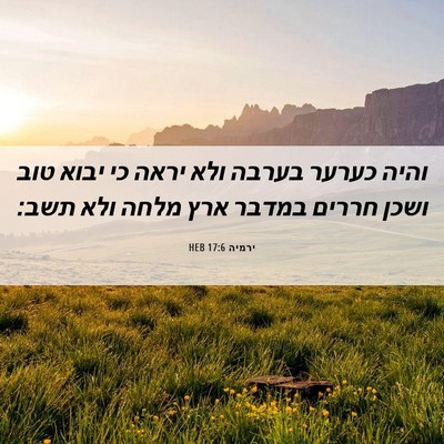 Picture 06 - ירמיה 17:6 HEB - והיה כערער בערבה ולא יראה - Bible Verse Picture