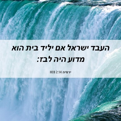 Picture 06 - ירמיה 2:14 HEB - העבד ישראל אם יליד בית הוא - Bible Verse Picture