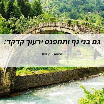 Picture 06 - ירמיה 2:16 HEB - גם בני נף ותחפנס ירעוך - Bible Verse Picture