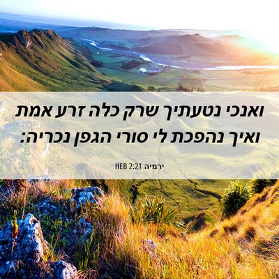 Picture 06 - ירמיה 2:21 HEB - ואנכי נטעתיך שרק כלה זרע - Bible Verse Picture