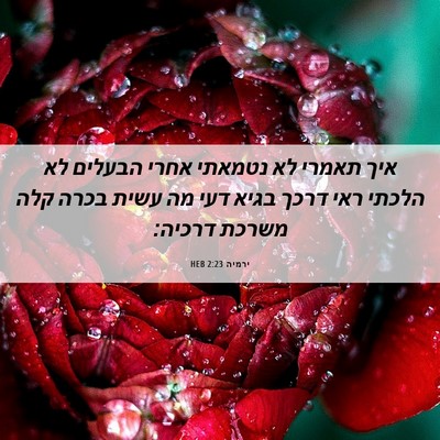 Picture 06 - ירמיה 2:23 HEB - איך תאמרי לא נטמאתי אחרי - Bible Verse Picture