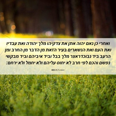Picture 06 - ירמיה 21:7 HEB - ואחרי כן נאם יהוה אתן את - Bible Verse Picture