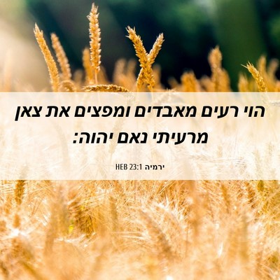 Picture 06 - ירמיה 23:1 HEB - הוי רעים מאבדים ומפצים את - Bible Verse Picture