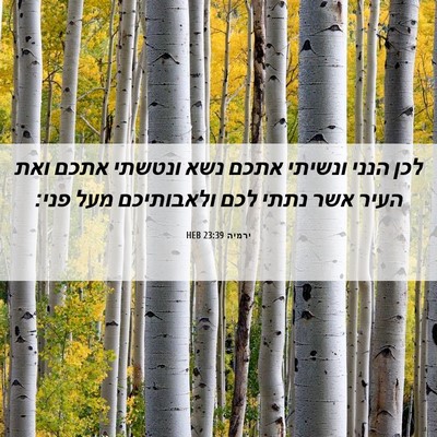 Picture 06 - ירמיה 23:39 HEB - לכן הנני ונשיתי אתכם נשא - Bible Verse Picture