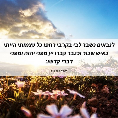 Picture 06 - ירמיה 23:9 HEB - לנבאים נשבר לבי בקרבי רחפו - Bible Verse Picture