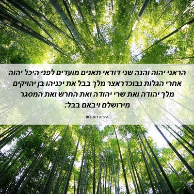 Picture 06 - ירמיה 24:1 HEB - הראני יהוה והנה שני דודאי - Bible Verse Picture